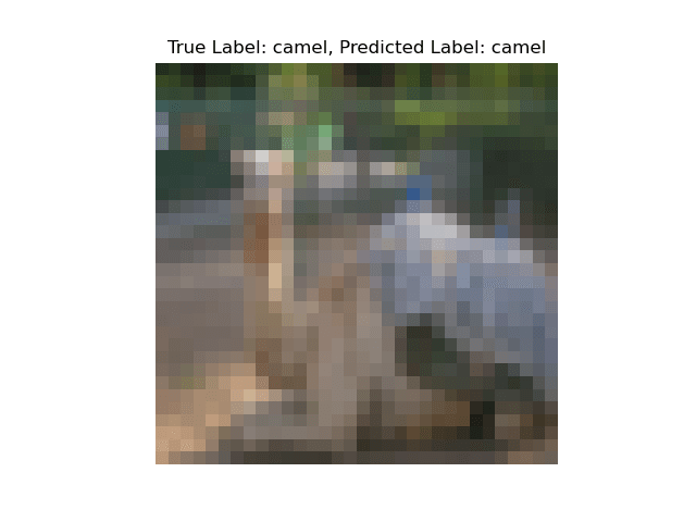 True and Predicted label shown on top of the image (camel)