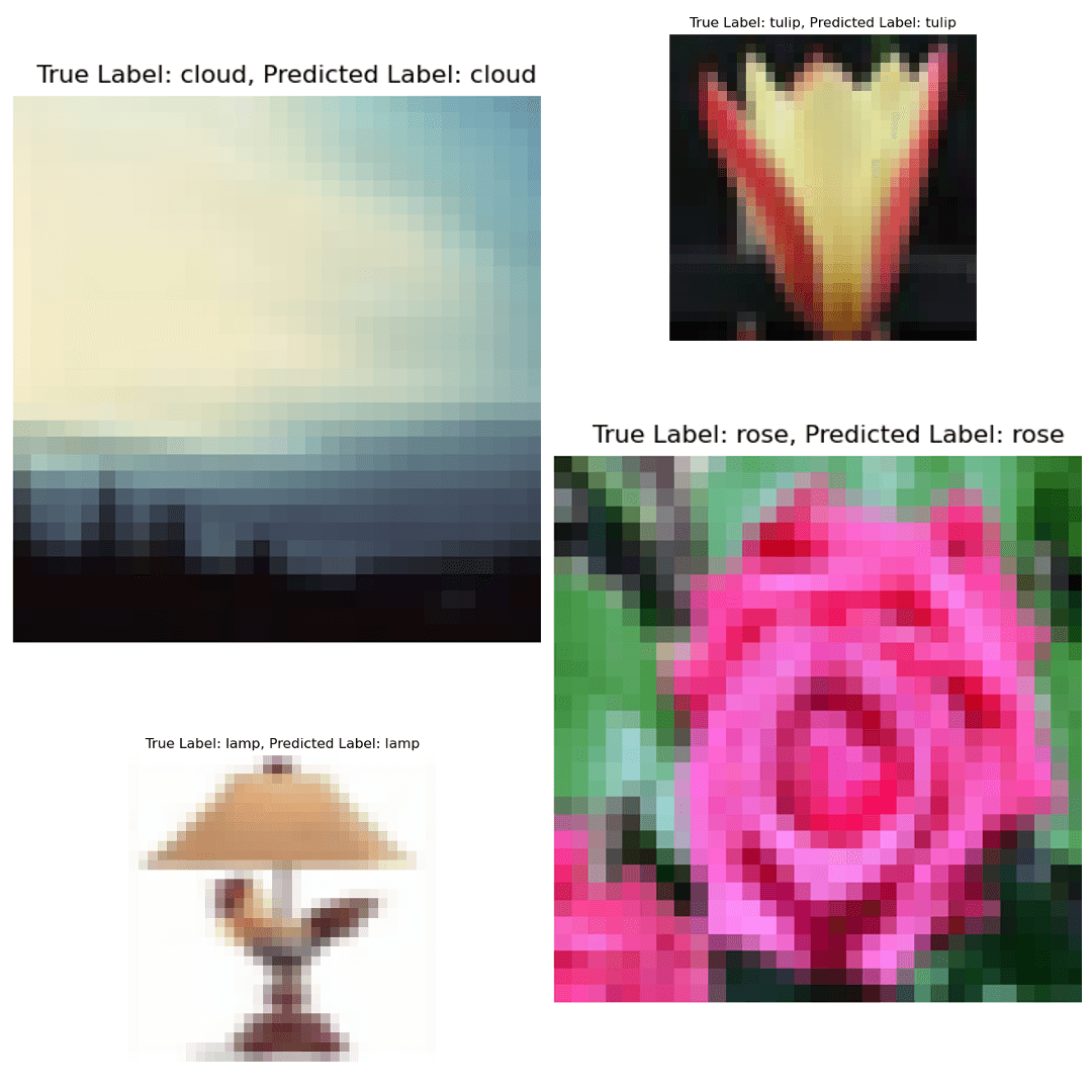 True and predicted labels shown above each images (cloud, tulip, rose, lamp)